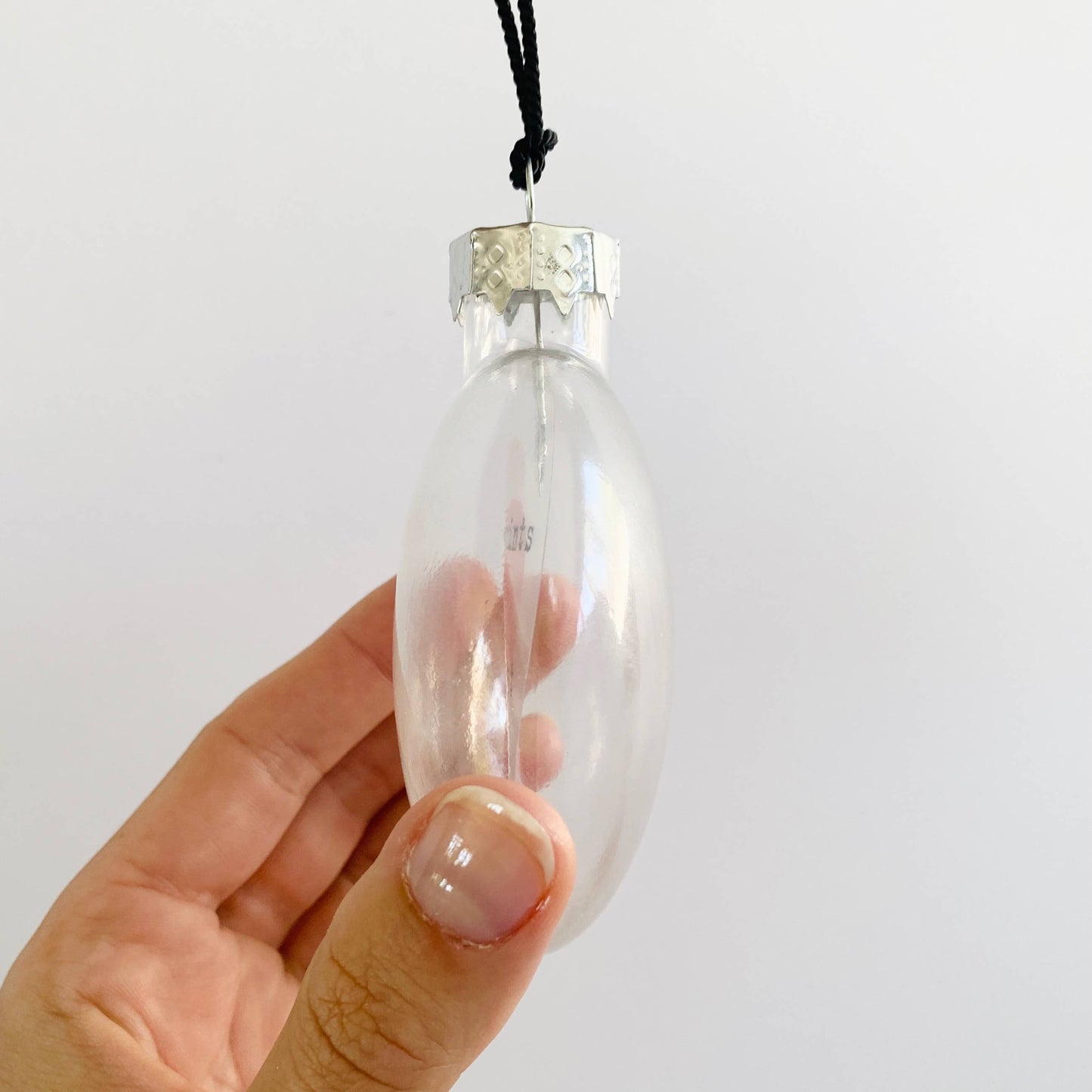 Paw Prints See-Through Glass Holiday Ornament