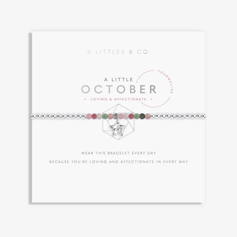 Katie Loxton - Birthstone Bracelets