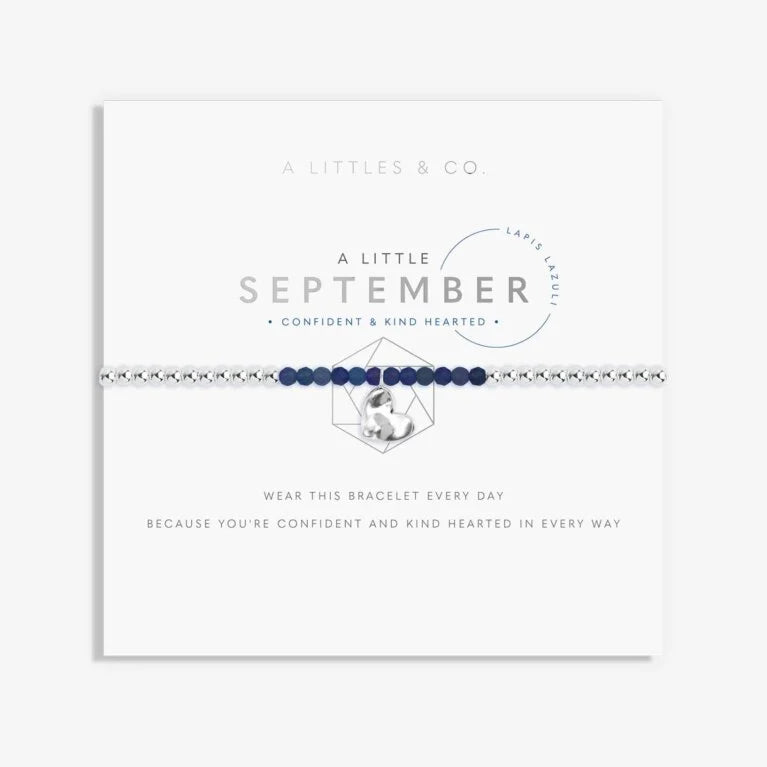 Katie Loxton - Birthstone Bracelets