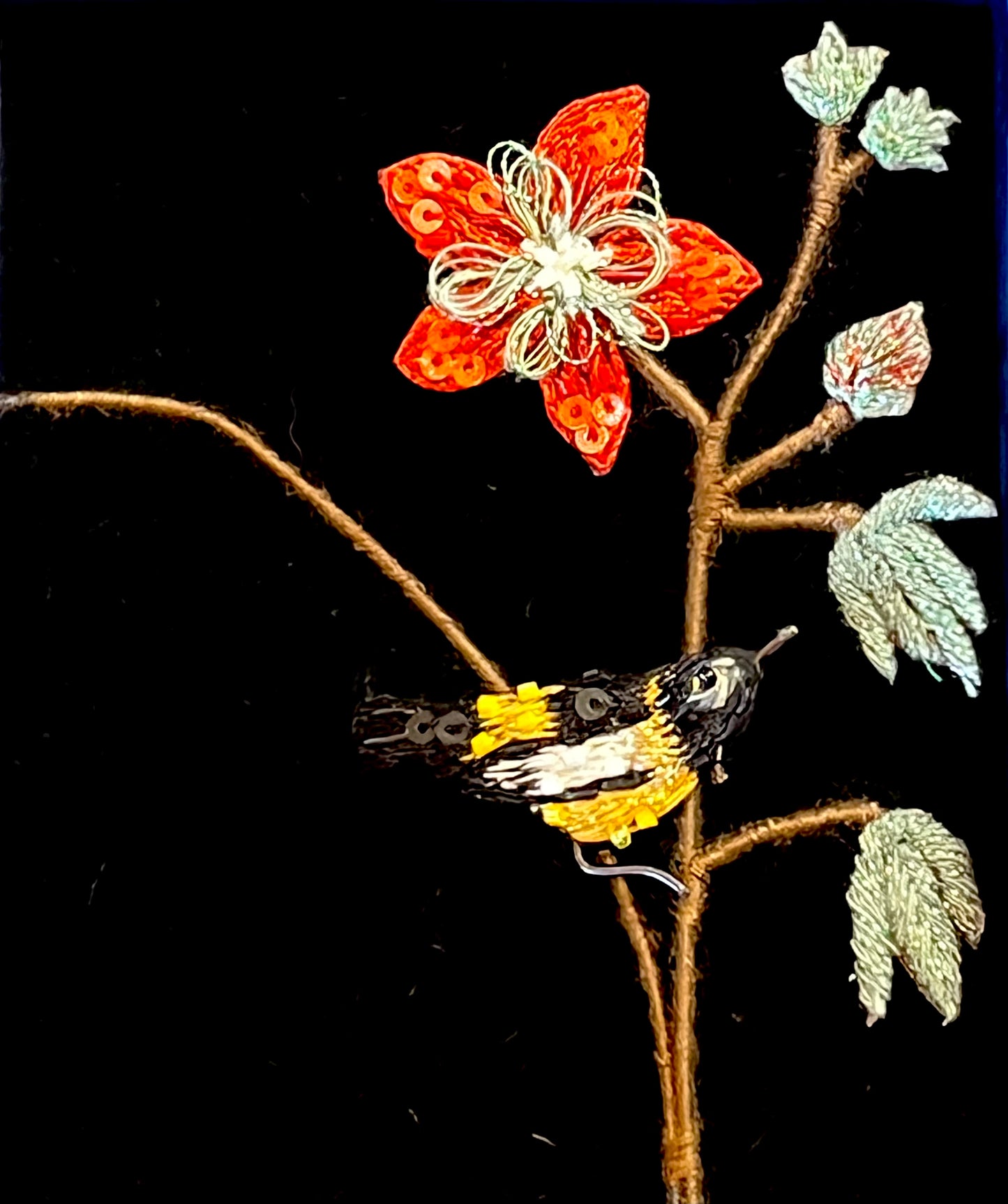 Trovelore - Common Trouplal Bird Brooch Pin