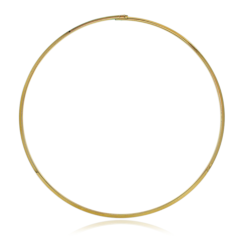 Sleek Collar Choker Necklace