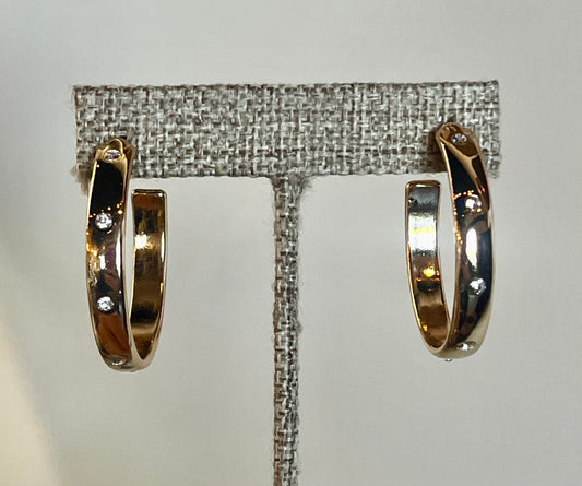 Sleek and Shiny Hoop Earrings